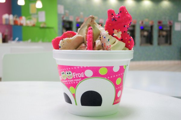 Sweet Frog Fort Worth