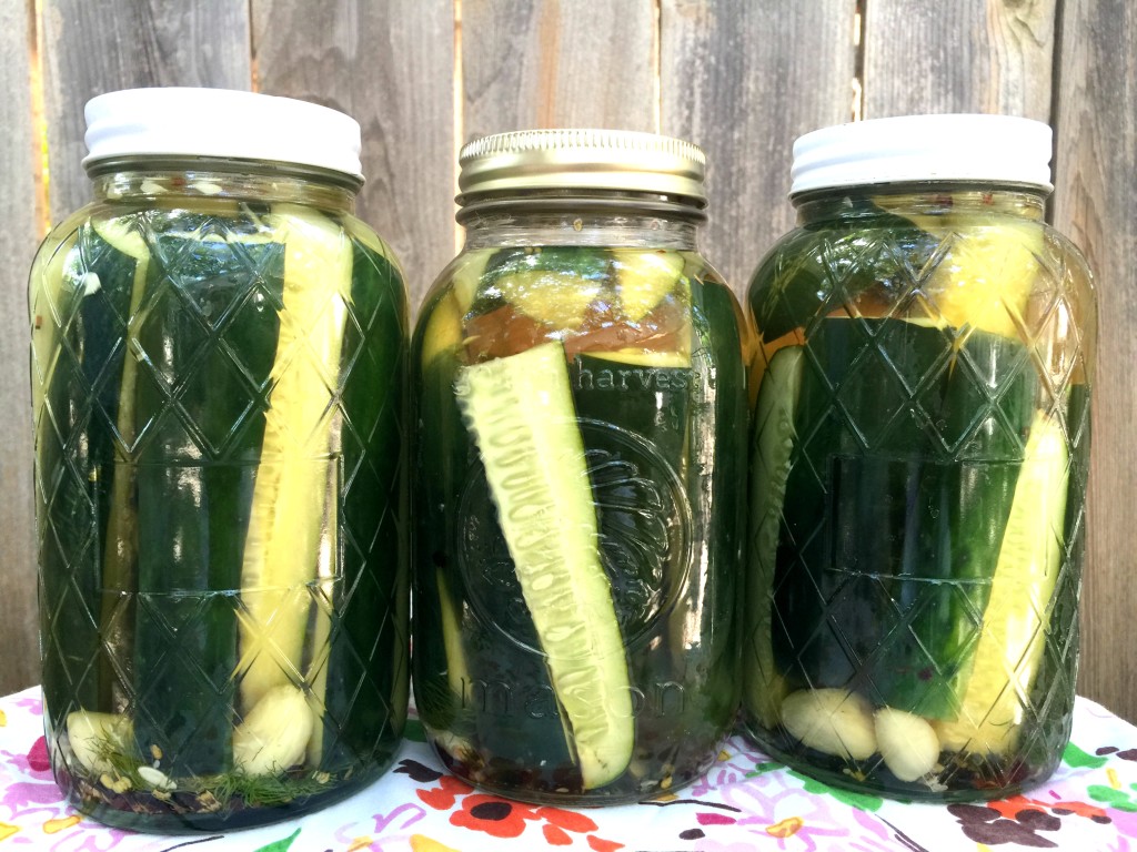 Tanglewood Moms pickle blog