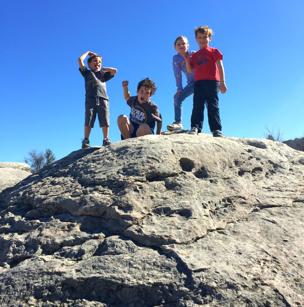 Big Rocks Glen Rose