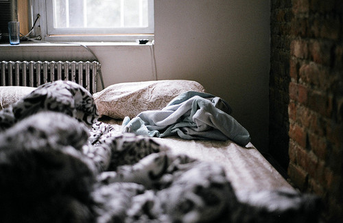cozy-bed-ii