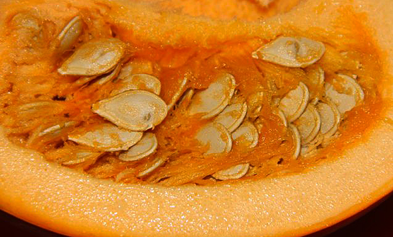 pumpkins-seeds