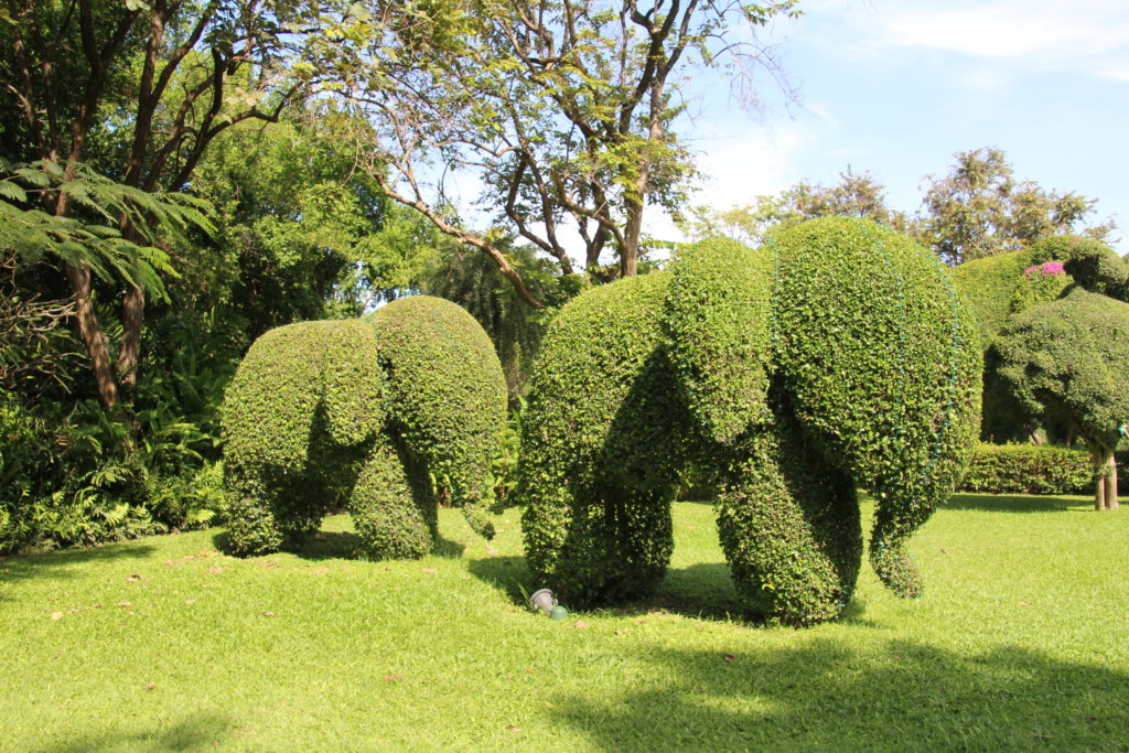 Come See the Animals... In the Botanic Garden? - Tanglewood Moms