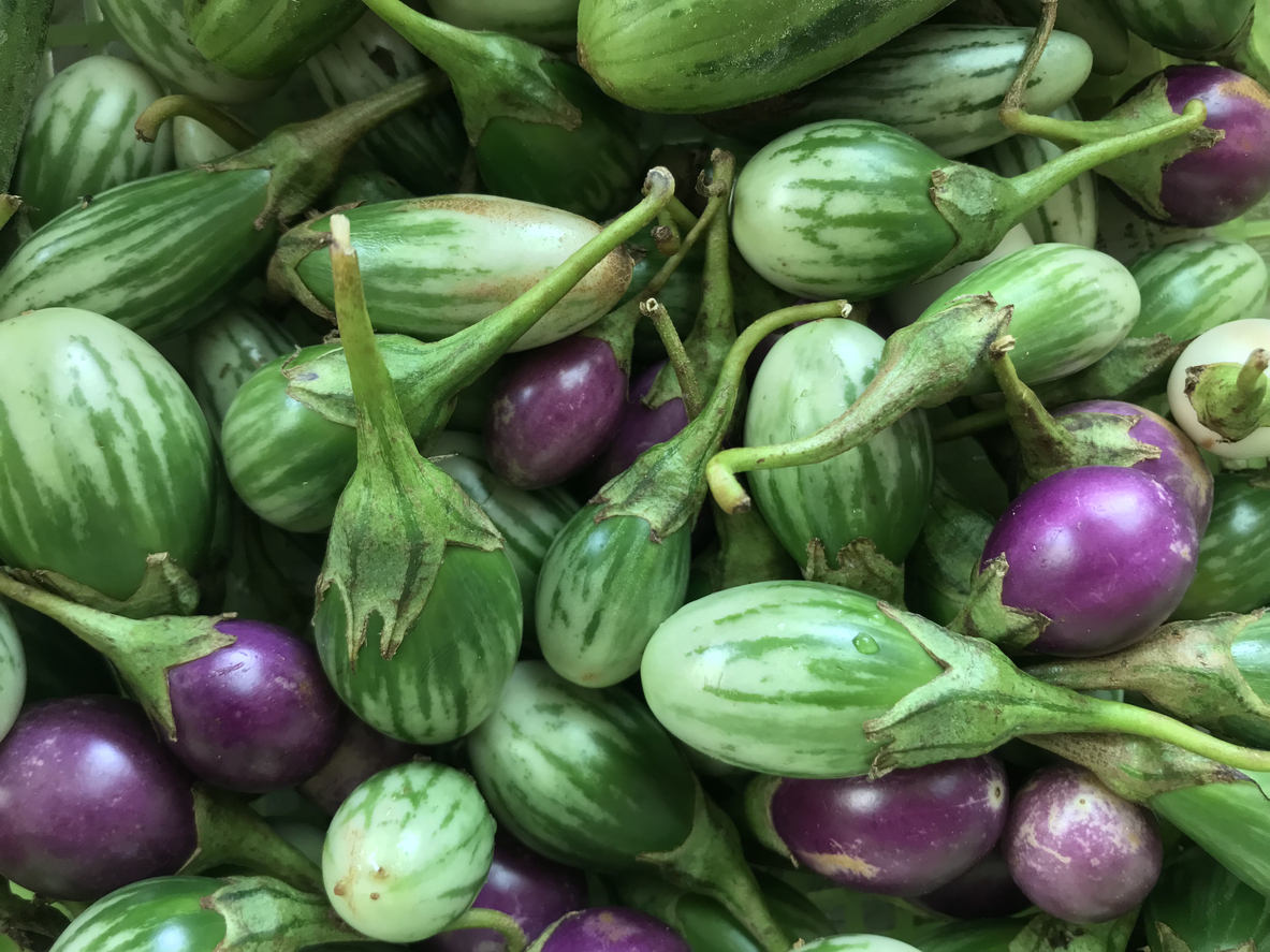 Quick Pickled Vegetables for Easy Lunchtime Rice Bowls Tanglewood Moms