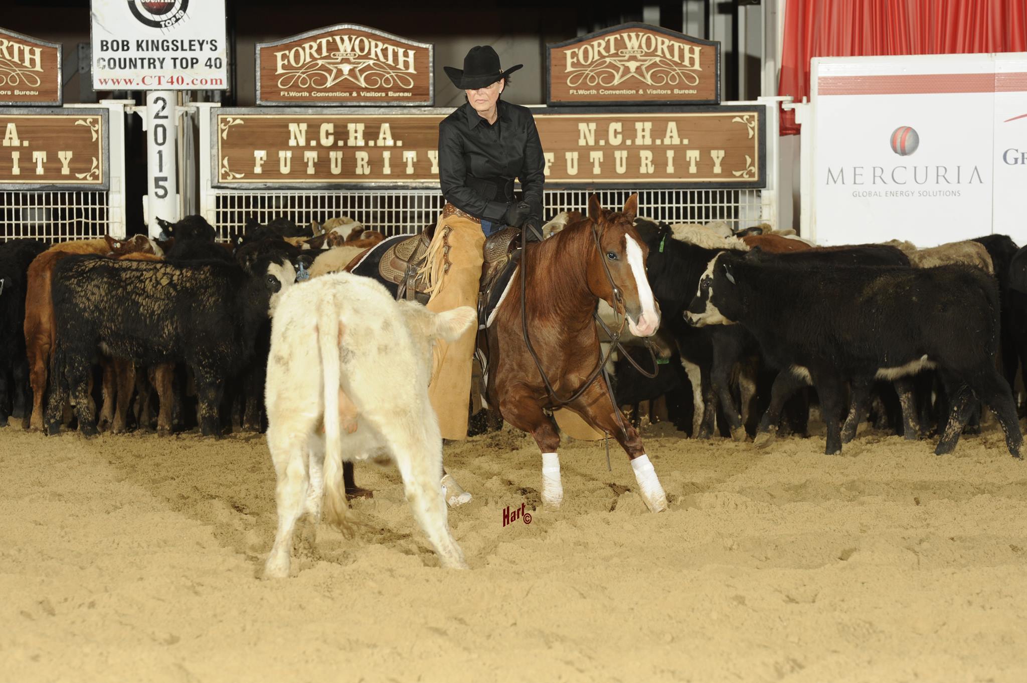 2022 NCHA Metallic Cat World Championship Futurity Returns to Fort