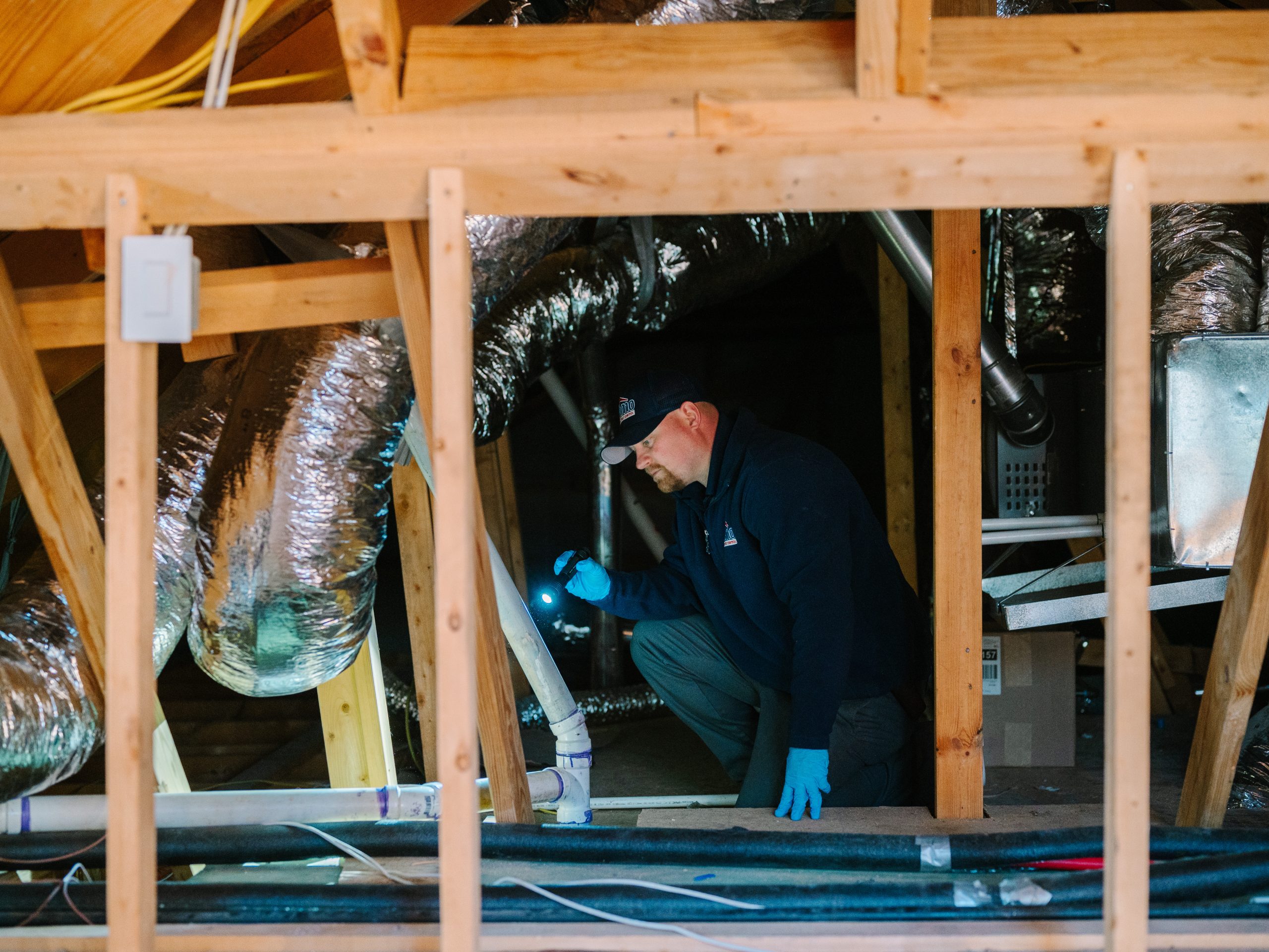 Alamo Termite & Pest Control Tanglewood Moms